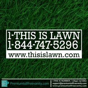 1-this-is-lawn-p-18447475296.jpg