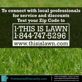 1-this-is-lawn-p-18447475296.jpg